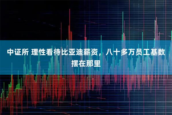 中证所 理性看待比亚迪薪资，八十多万员工基数摆在那里