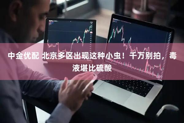 中金优配 北京多区出现这种小虫！千万别拍，毒液堪比硫酸