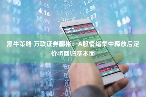 黑牛策略 万联证券郦彬：A股情绪集中释放后定价将回归基本面
