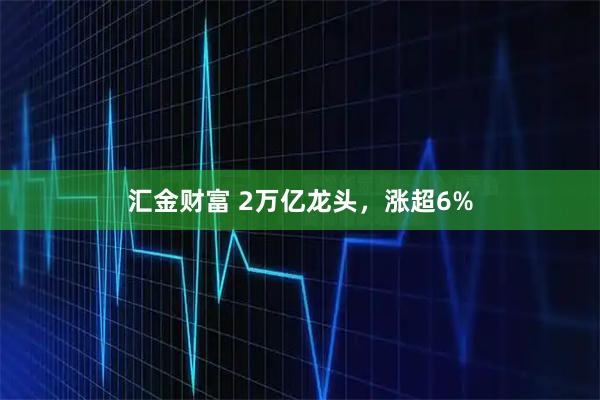 汇金财富 2万亿龙头,涨超6%