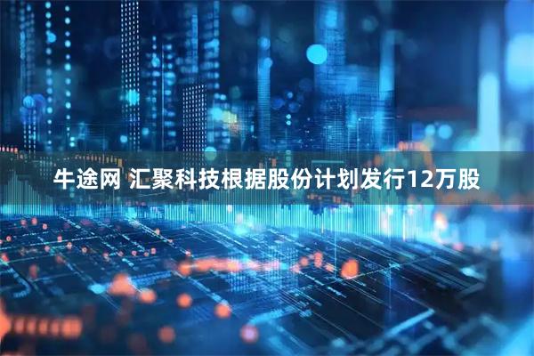牛途网 汇聚科技根据股份计划发行12万股
