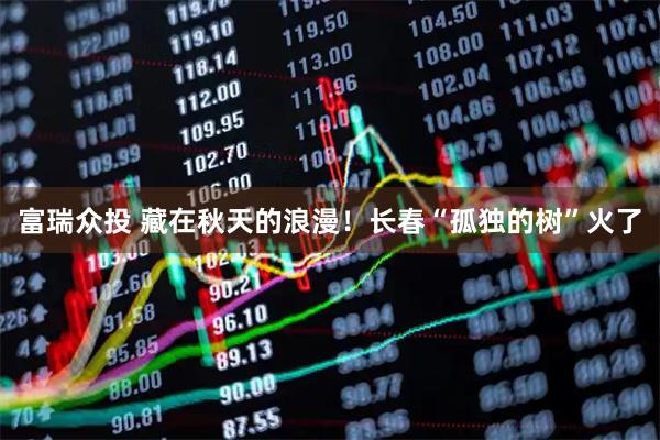 富瑞众投 藏在秋天的浪漫！长春“孤独的树”火了